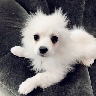 暖かい家族が決まりました！ありがとうございました。