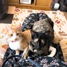 2キロを超えました