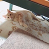 べま