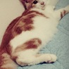 したさゆ さん