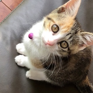 可愛い過ぎます、モリーちゃん❣️