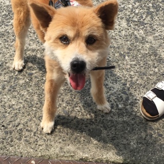 高齢者でも 迎えて 頂けます^_^