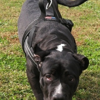 【トライアル延長中】募集一時休止