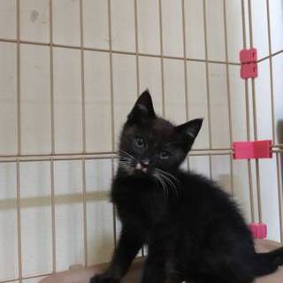 個性的な柄の可愛い子♪