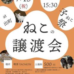 ねこの譲渡会@YAOMON サムネイル1