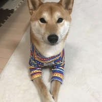 ムサシ