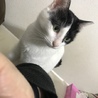 和音(かおん)