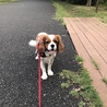 バスター