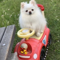 ふうた