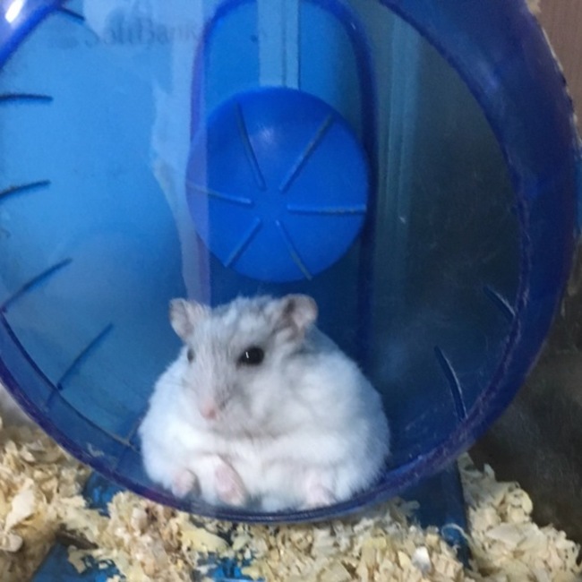ひろか040328のカバー写真