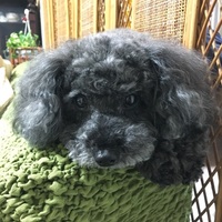リン