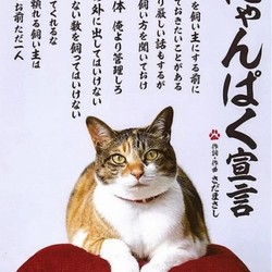 愛されている、きみへ