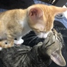 2回目のワクチン接種完了！良く頑張りました！