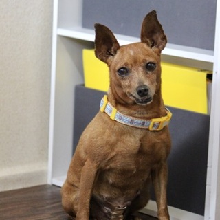 会うたびに笑いが止まらない 面白さの塊 