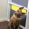 会うたびに笑いが止まらない 面白さの塊  サムネイル3