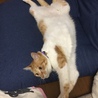 の写真