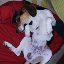 ルカ去勢日迫る