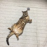 お気に入りのポーズ