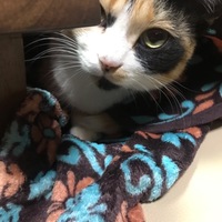 ルナ