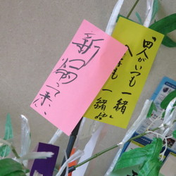 「呪文？おまじない？」サムネイル2