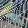 カズマ(^ ^)