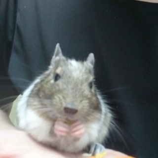 募集多のため一度締め切らせていただきます。