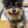 なが1 さん