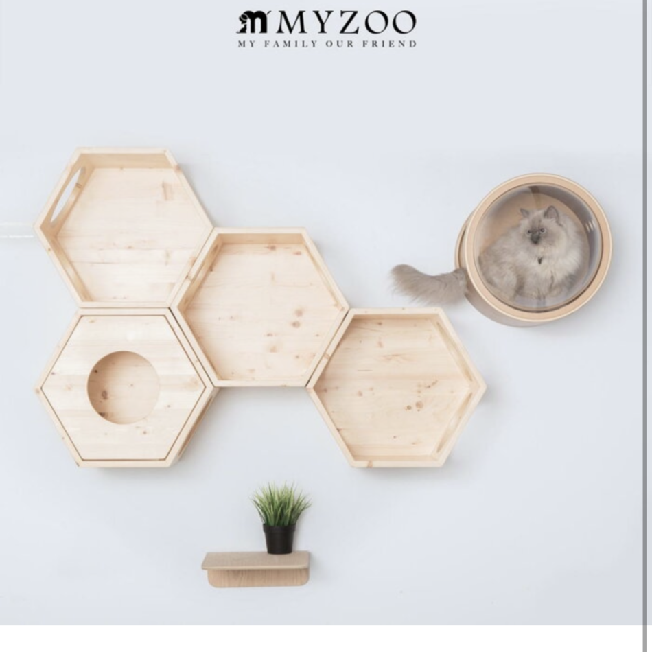 抹茶のカバー写真