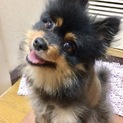 家族が決まりました！ありがとうございました！