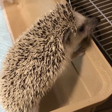 の写真