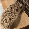 の写真