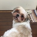 幸せになります。応募ありがとうございました。