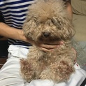 応募ありがとうございました。いっぱい甘えます。