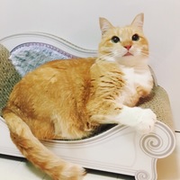 サニー