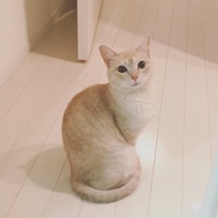 リタ