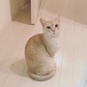 リタ