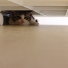 の写真