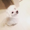 の写真