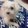 の写真
