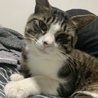 との