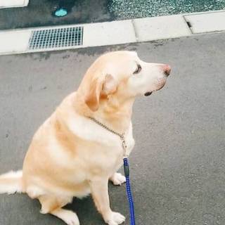 よろしくお願いします