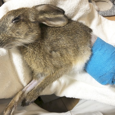 医療ミスで殺されました