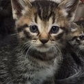 全ての生き物たちよ、幸福であれ❣️