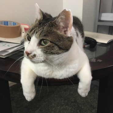 ぶんちゃん
