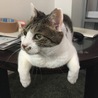 ぶんちゃん
