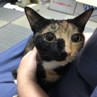 友人が撮影したななおさん