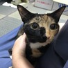 友人が撮影したななおさん