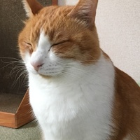 ジュニア