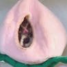 みいひか