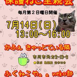 ふくねこや保護ねこ里親会